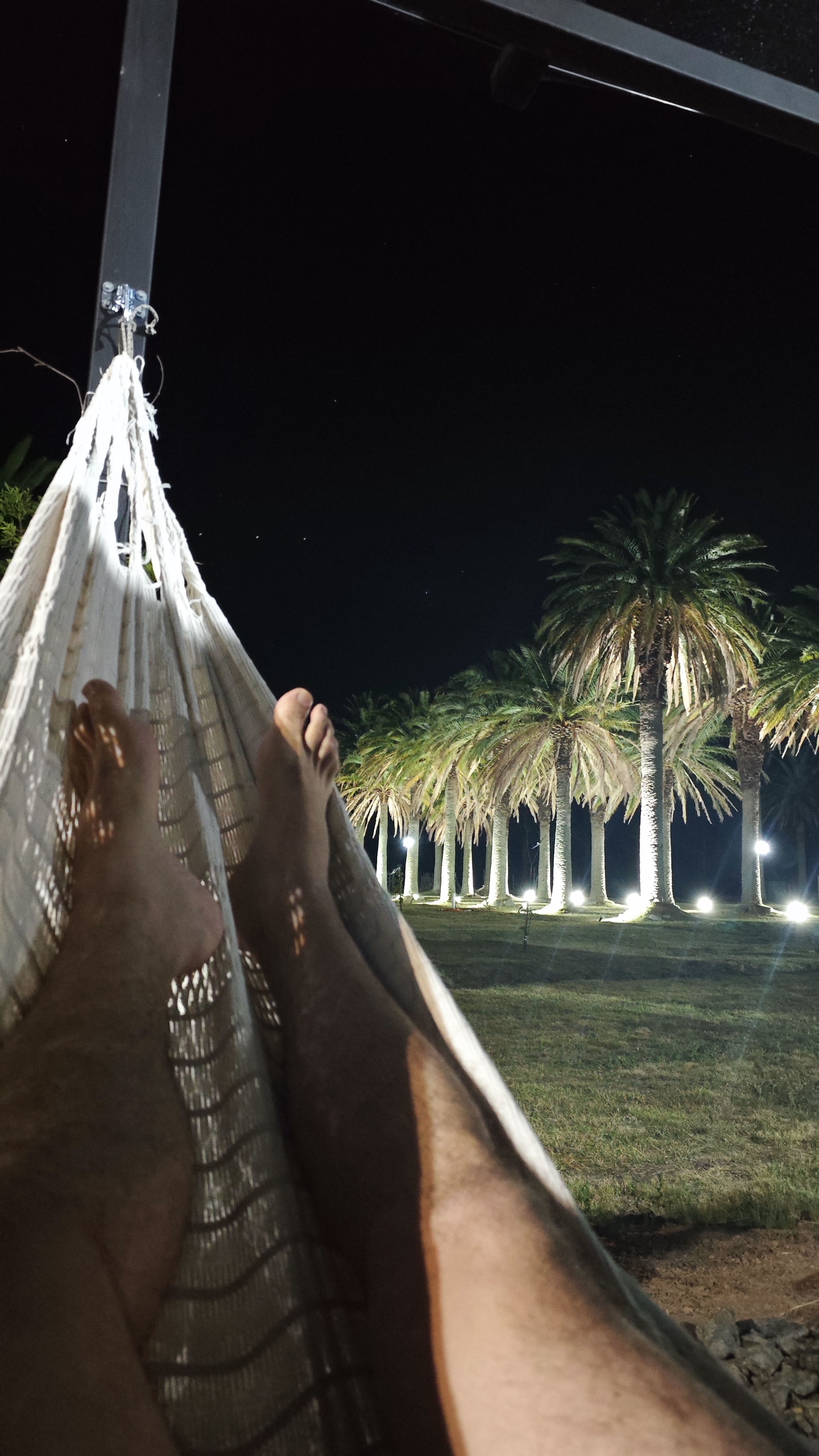 Hamaca con vista a las palmeras iluminadas