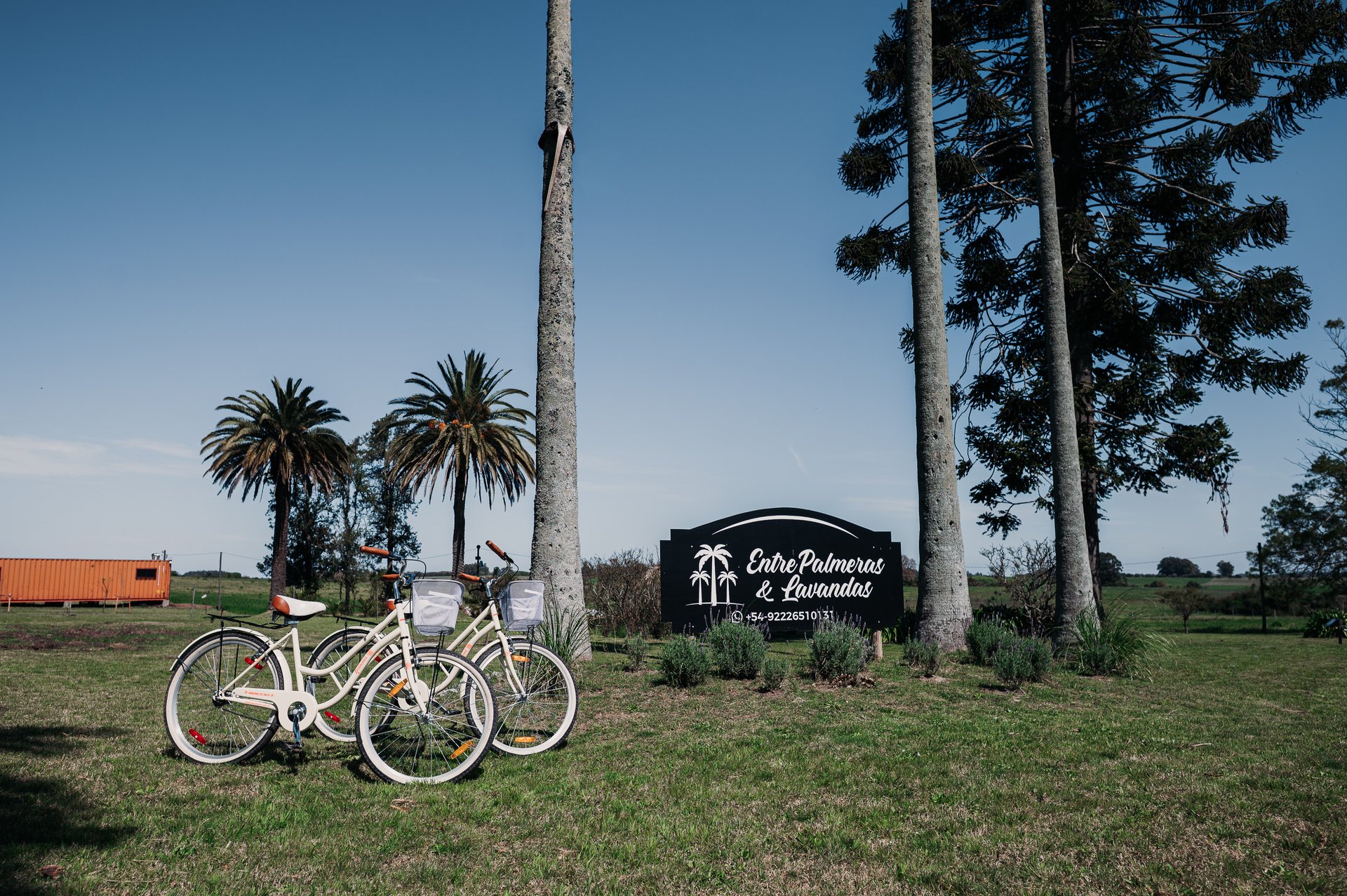 Vista panorámica del complejo
