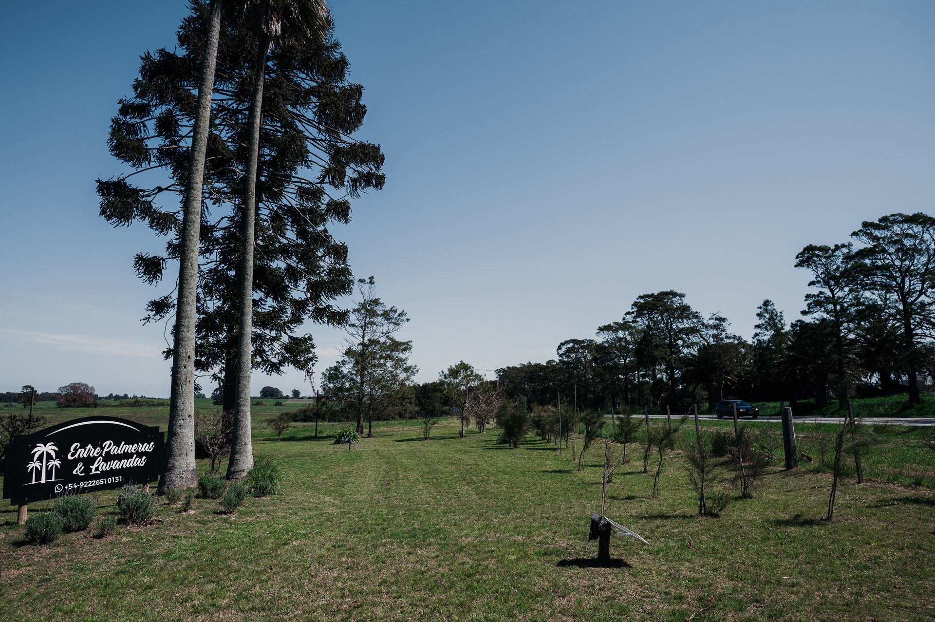 Unidades de diseño y naturaleza