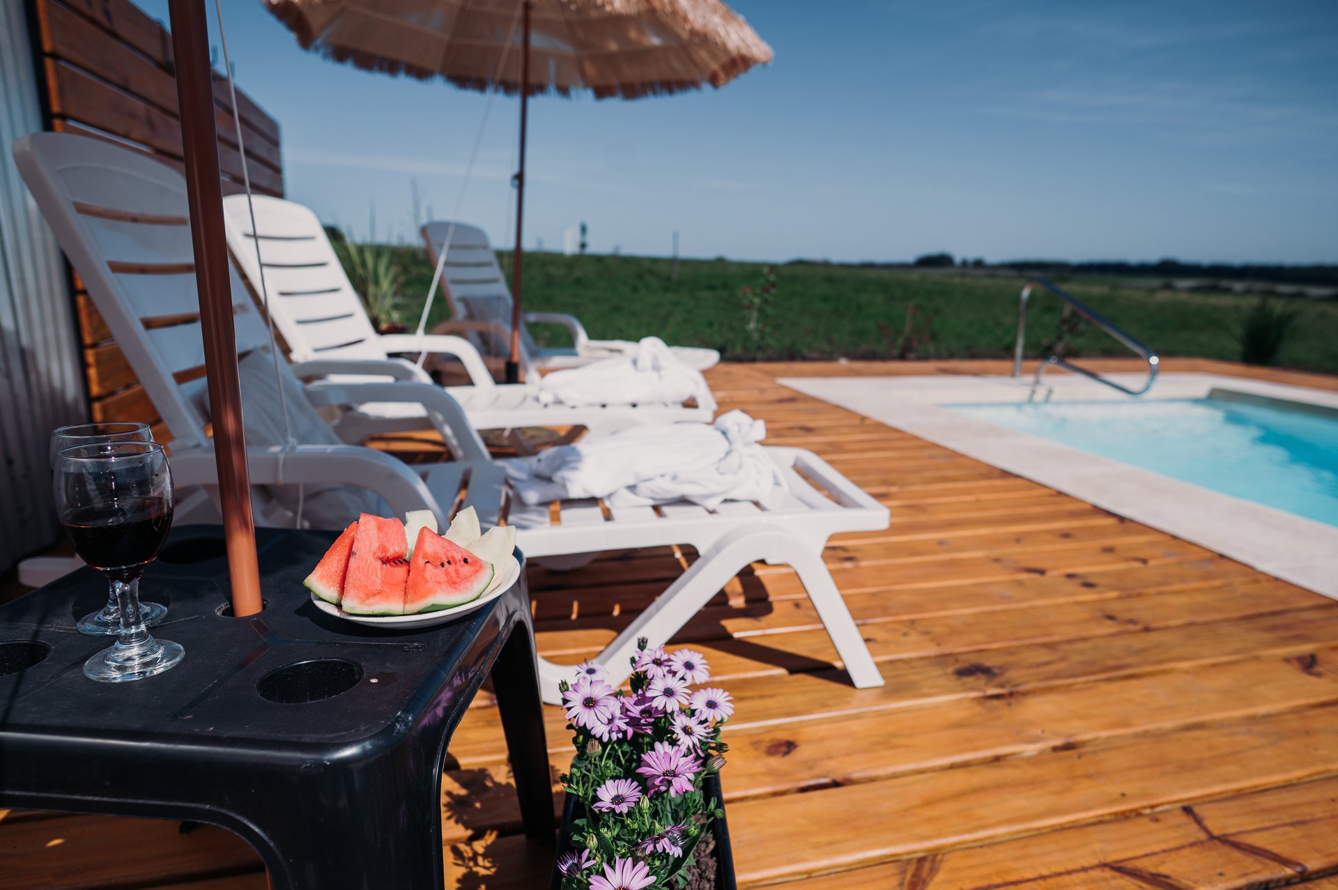 Vista al campo y palmeras