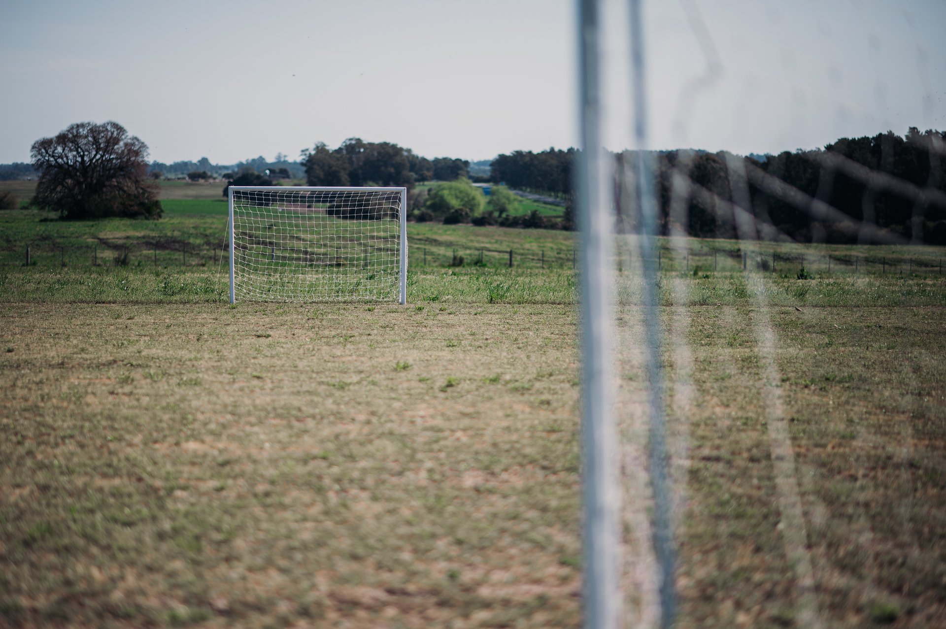 Diseño contemporáneo