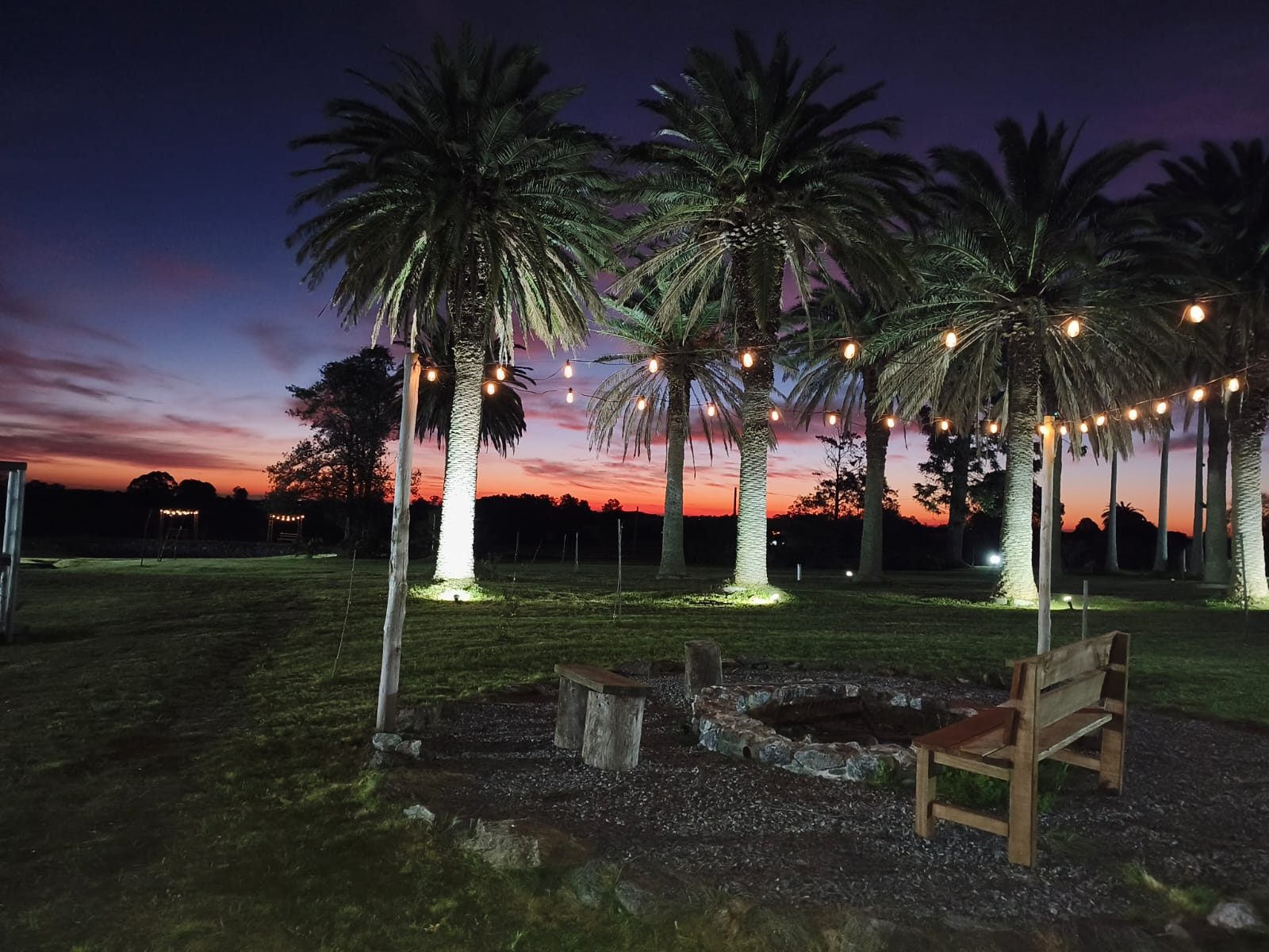 Fogón de piedra y palmeras iluminadas al atardecer
